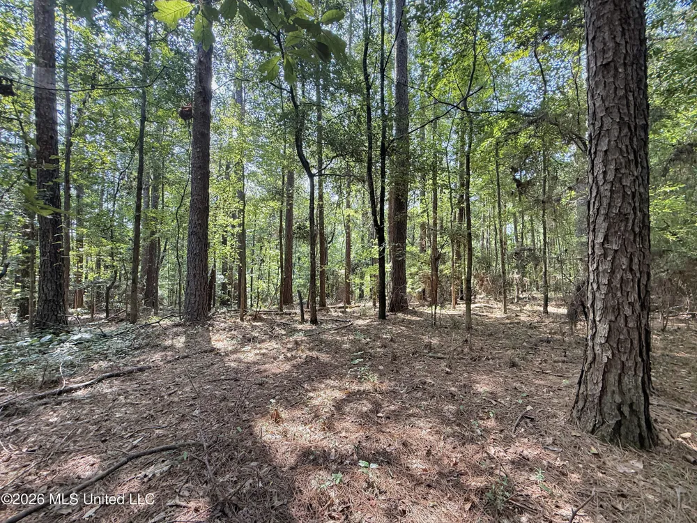 2435 Brignall Road Brookhaven, MS 39601