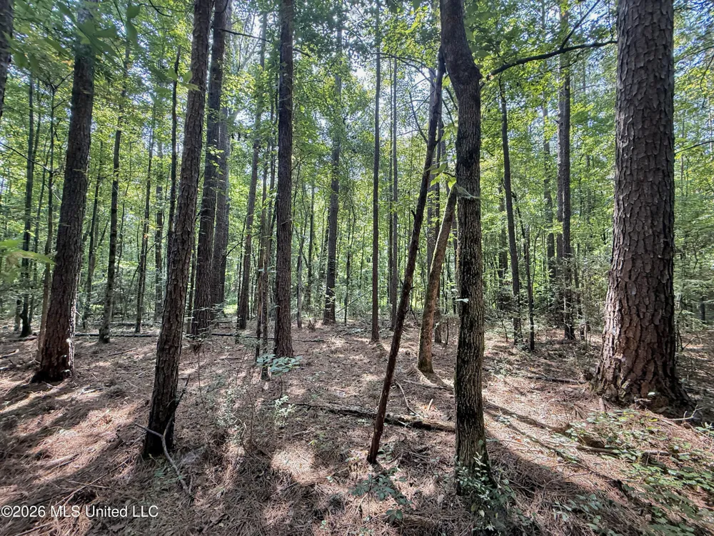 2435 Brignall Road Brookhaven, MS 39601