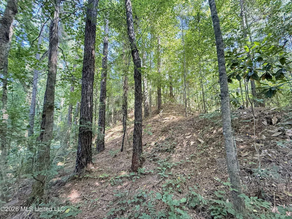 2435 Brignall Road Brookhaven, MS 39601