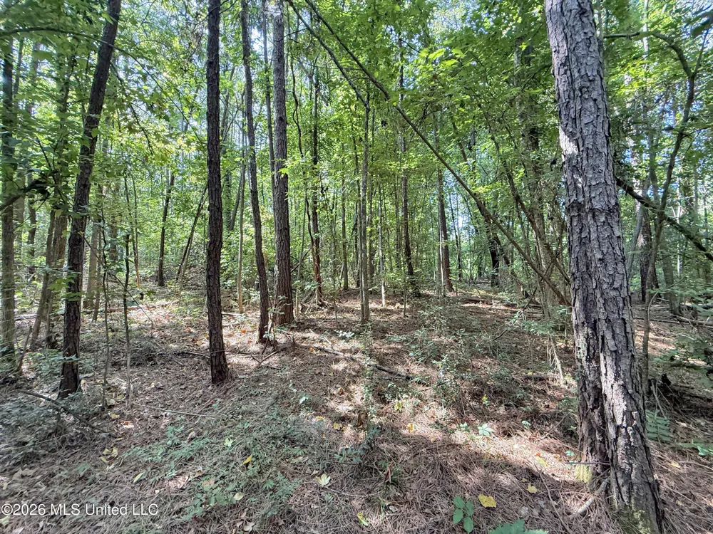 2435 Brignall Road Brookhaven, MS 39601