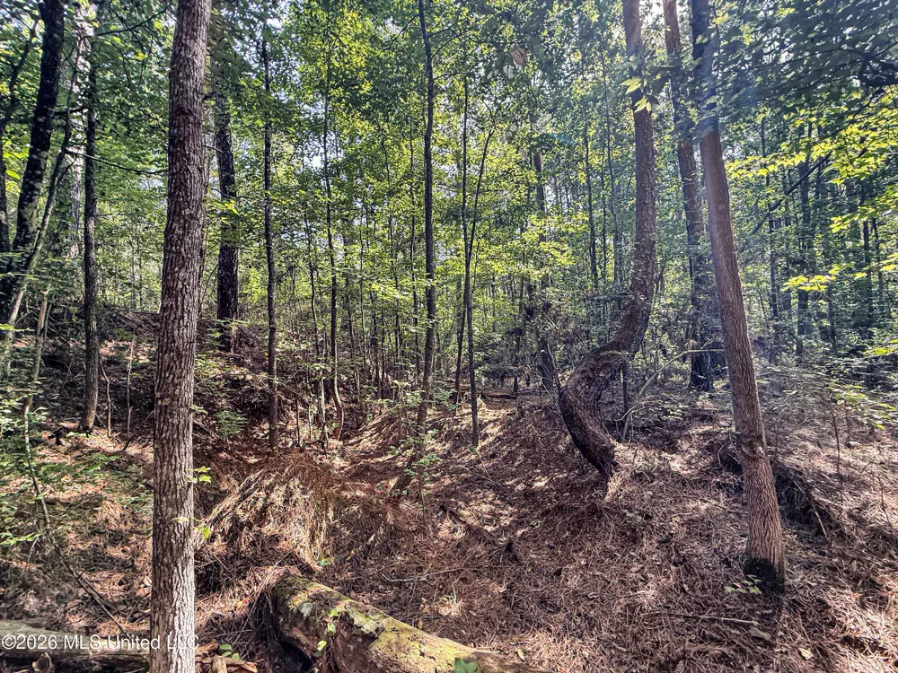 2435 Brignall Road Brookhaven, MS 39601