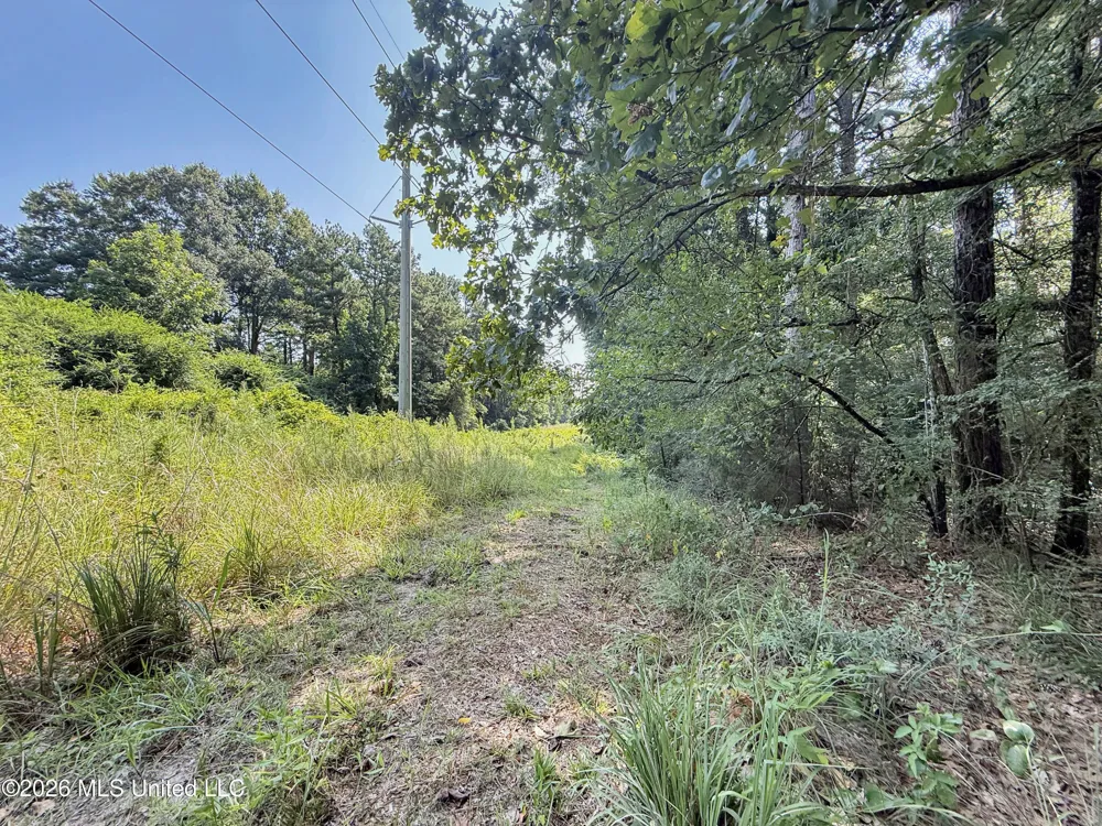 2435 Brignall Road Brookhaven, MS 39601