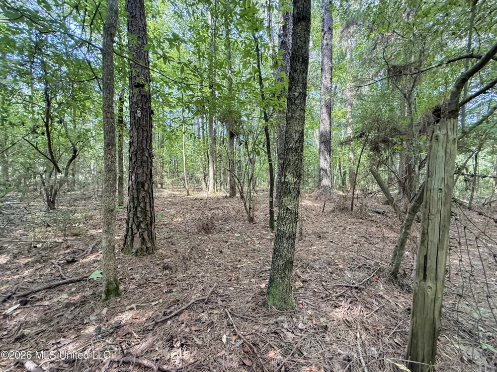 2435 Brignall Road Brookhaven, MS 39601