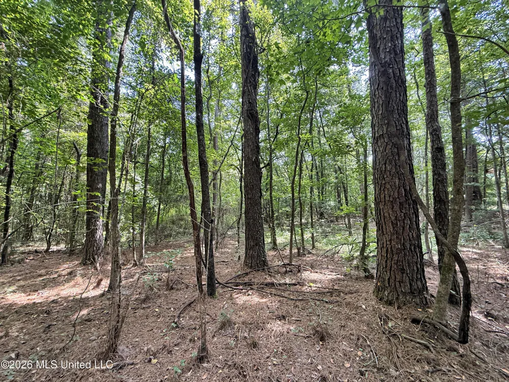 2435 Brignall Road Brookhaven, MS 39601