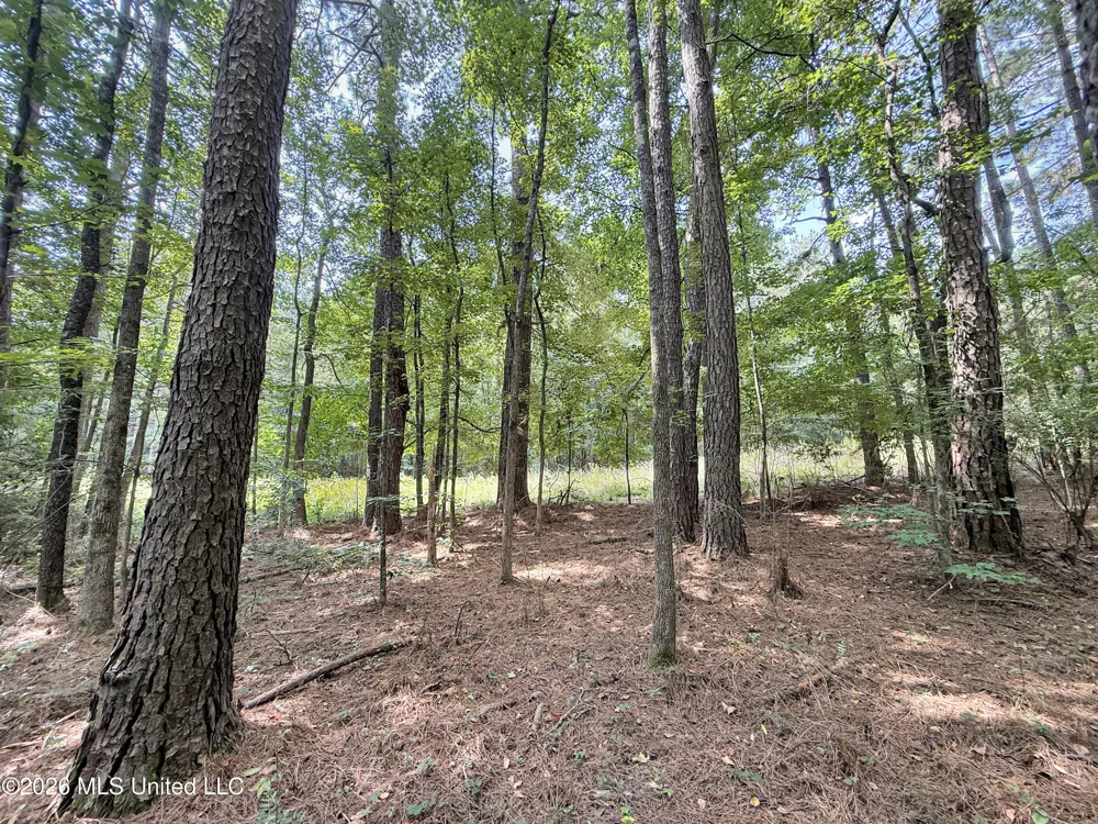 2435 Brignall Road Brookhaven, MS 39601