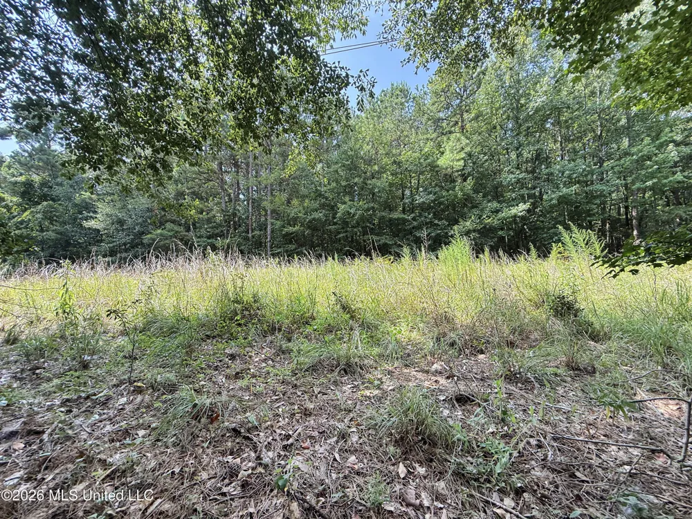 2435 Brignall Road Brookhaven, MS 39601