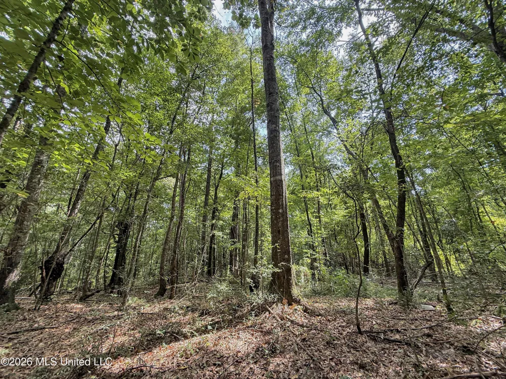 2435 Brignall Road Brookhaven, MS 39601