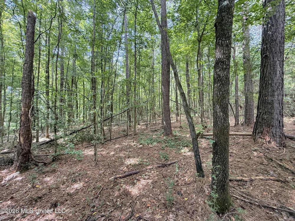 2435 Brignall Road Brookhaven, MS 39601