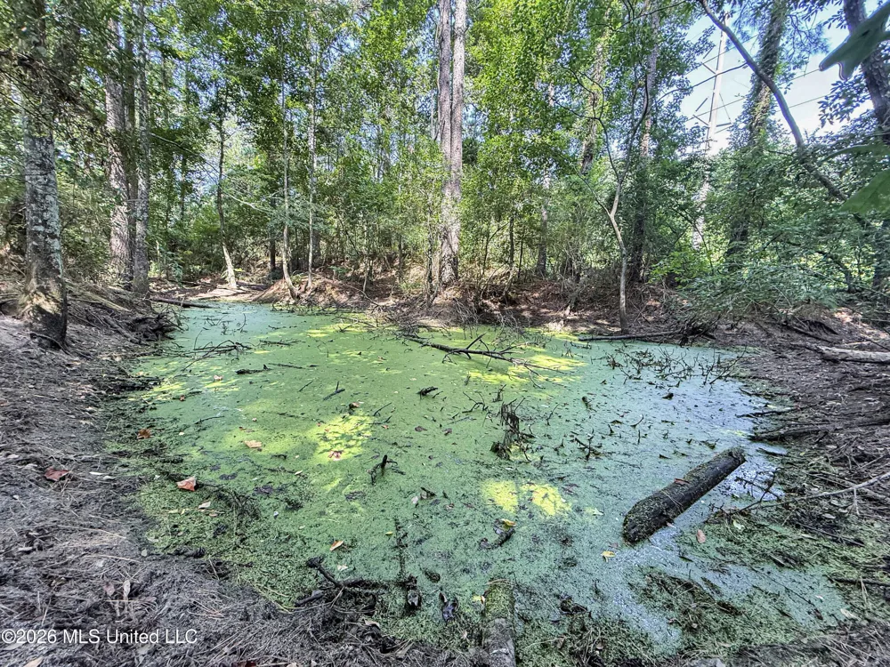 2435 Brignall Road Brookhaven, MS 39601