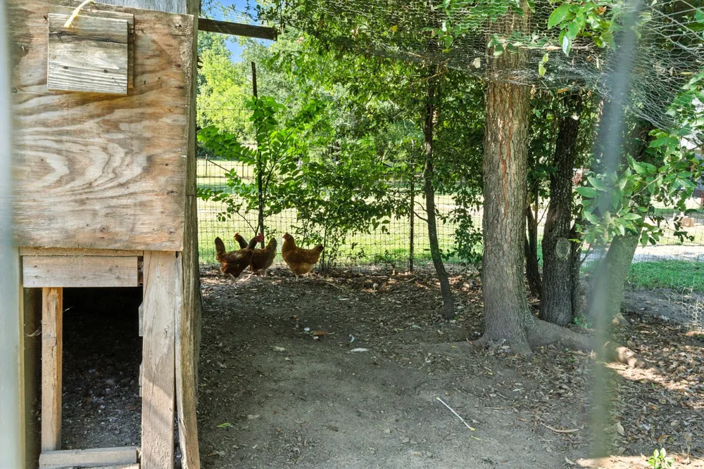 5929 County Road 371 Dublin, TX 76446