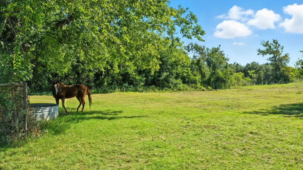 5929 County Road 371 Dublin, TX 76446