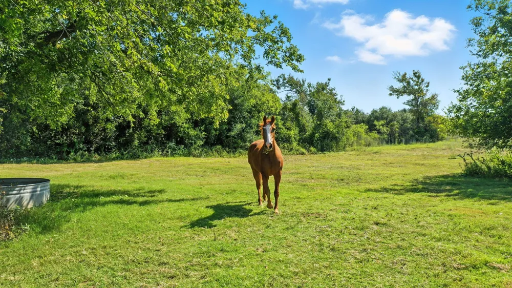 5929 County Road 371 Dublin, TX 76446