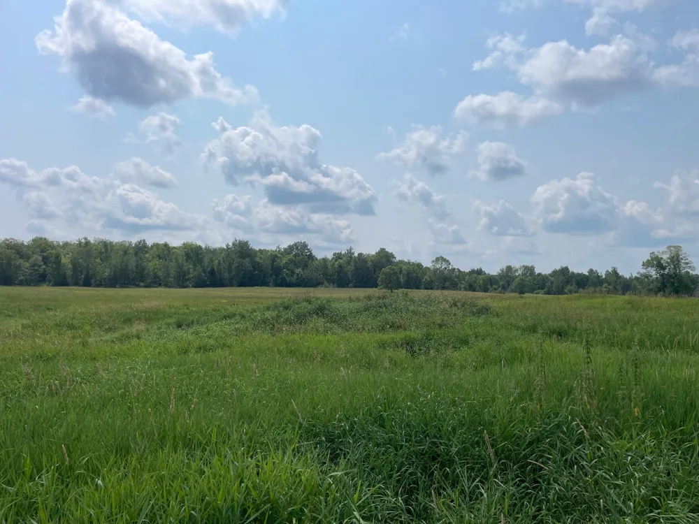 14331 395th Lane Tamarack, MN 55787