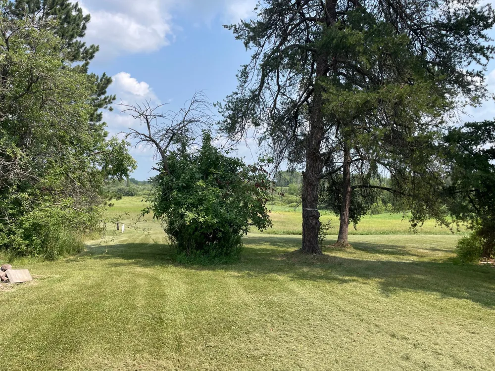 14331 395th Lane Tamarack, MN 55787