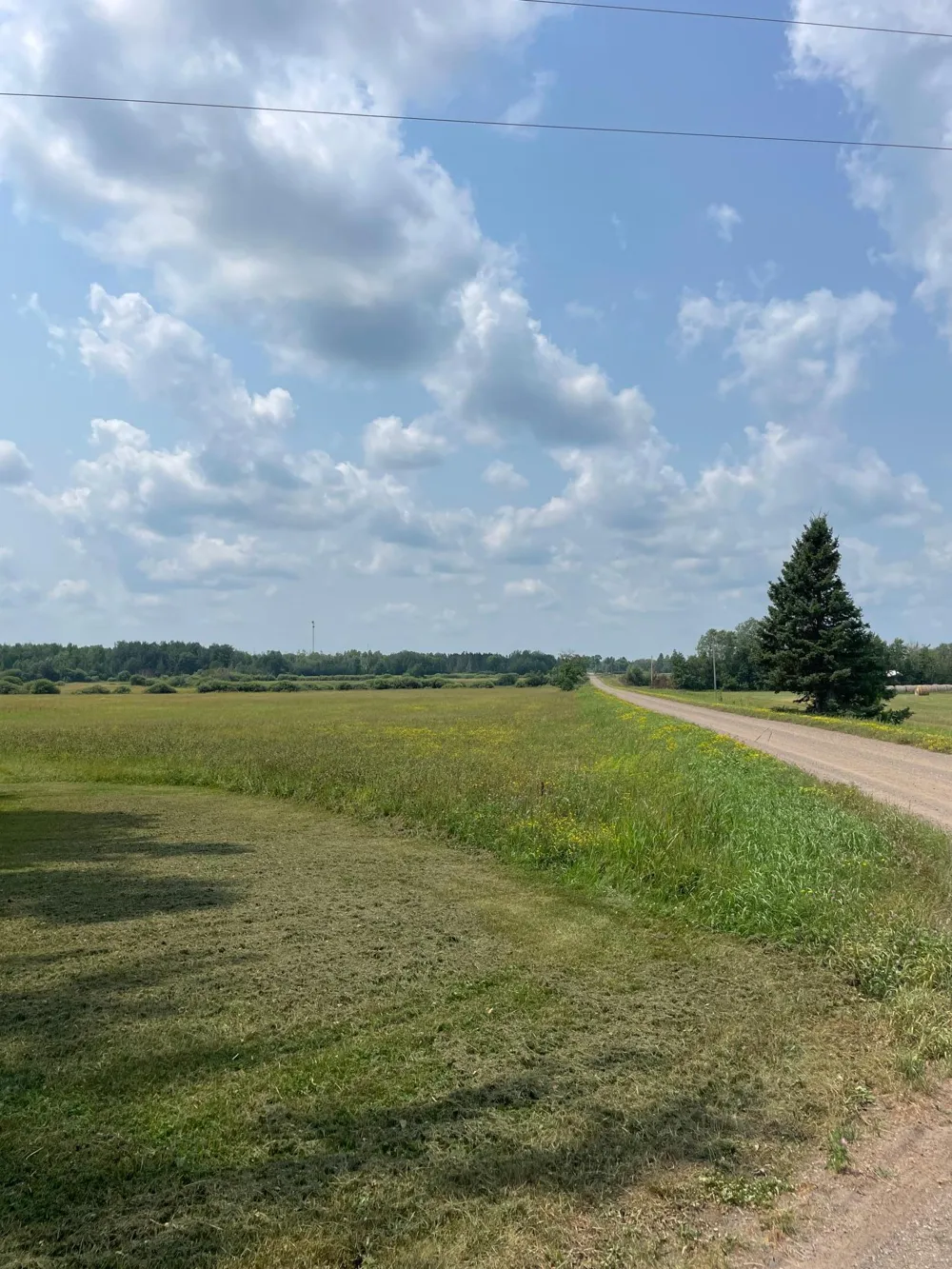 14331 395th Lane Tamarack, MN 55787