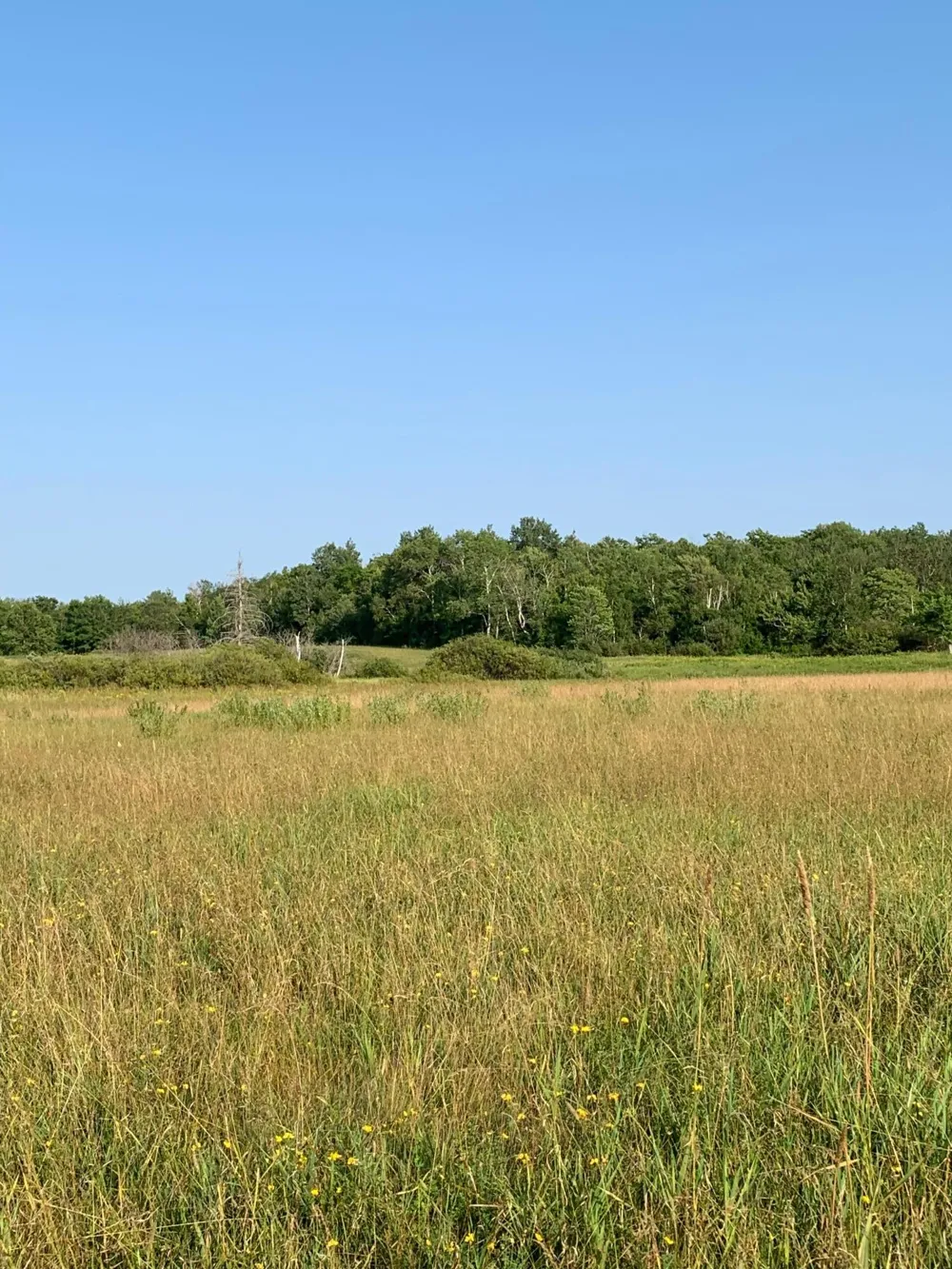 14331 395th Lane Tamarack, MN 55787