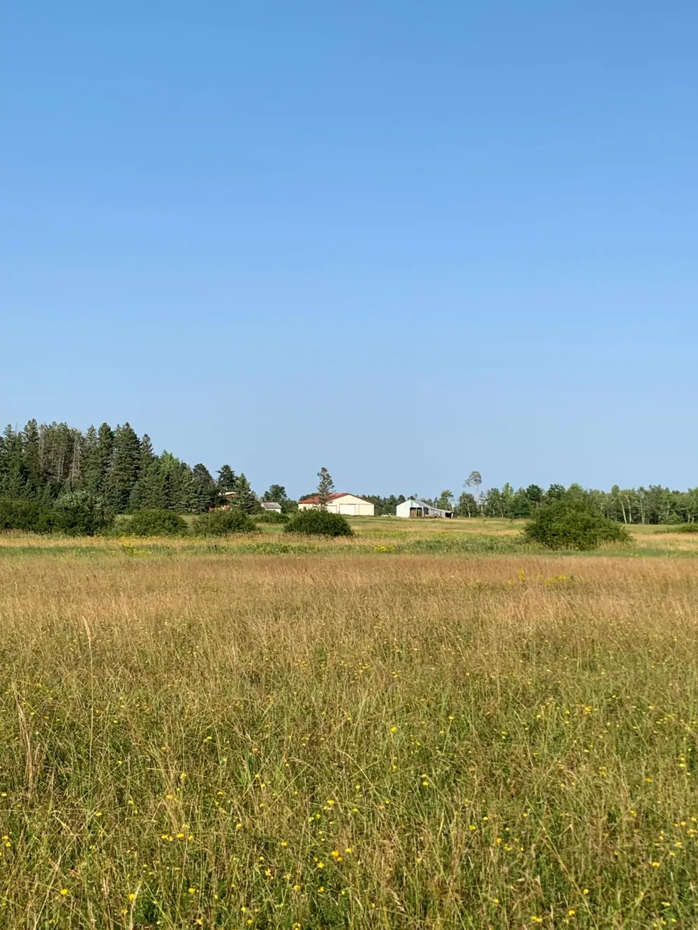 14331 395th Lane Tamarack, MN 55787