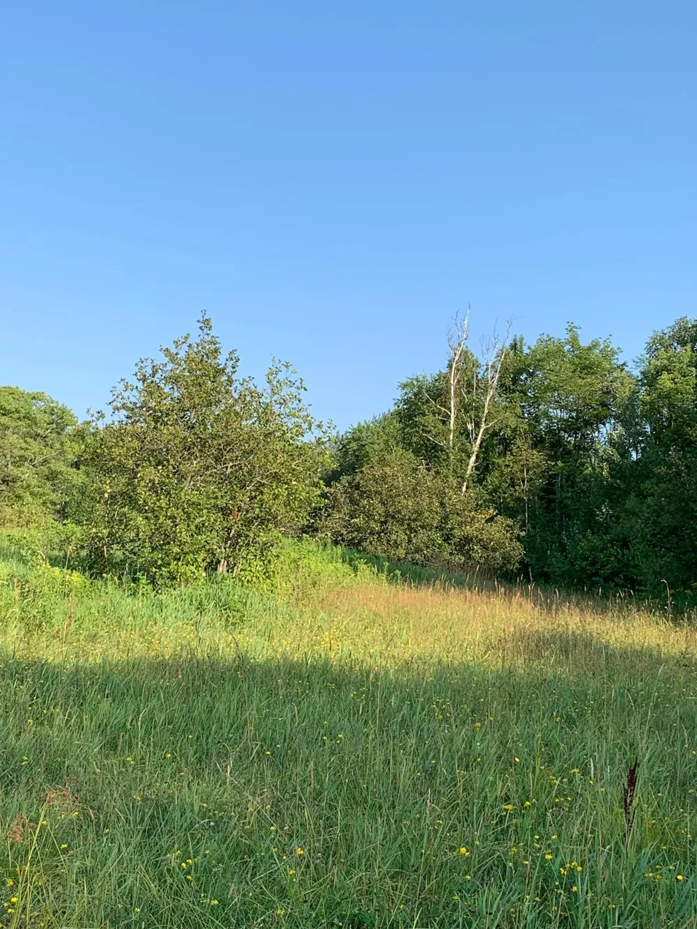 14331 395th Lane Tamarack, MN 55787