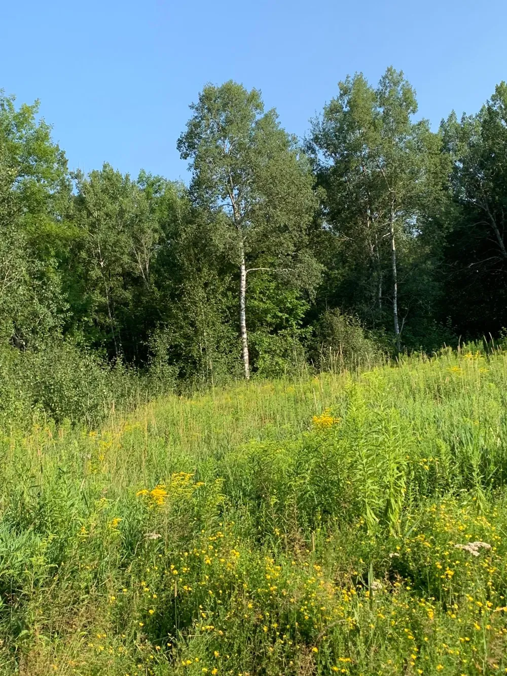 14331 395th Lane Tamarack, MN 55787