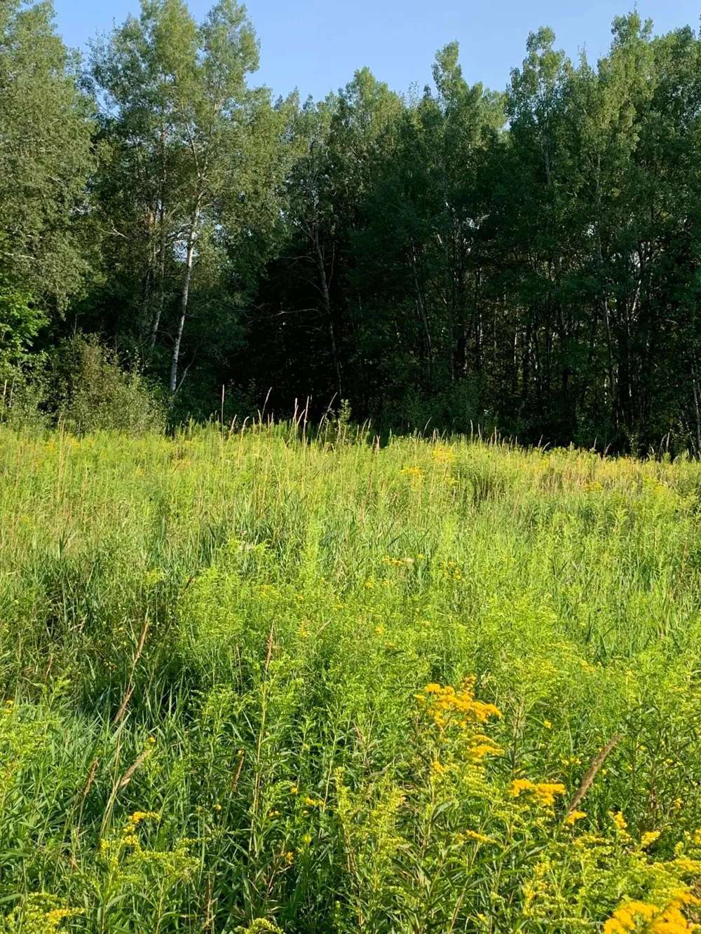 14331 395th Lane Tamarack, MN 55787