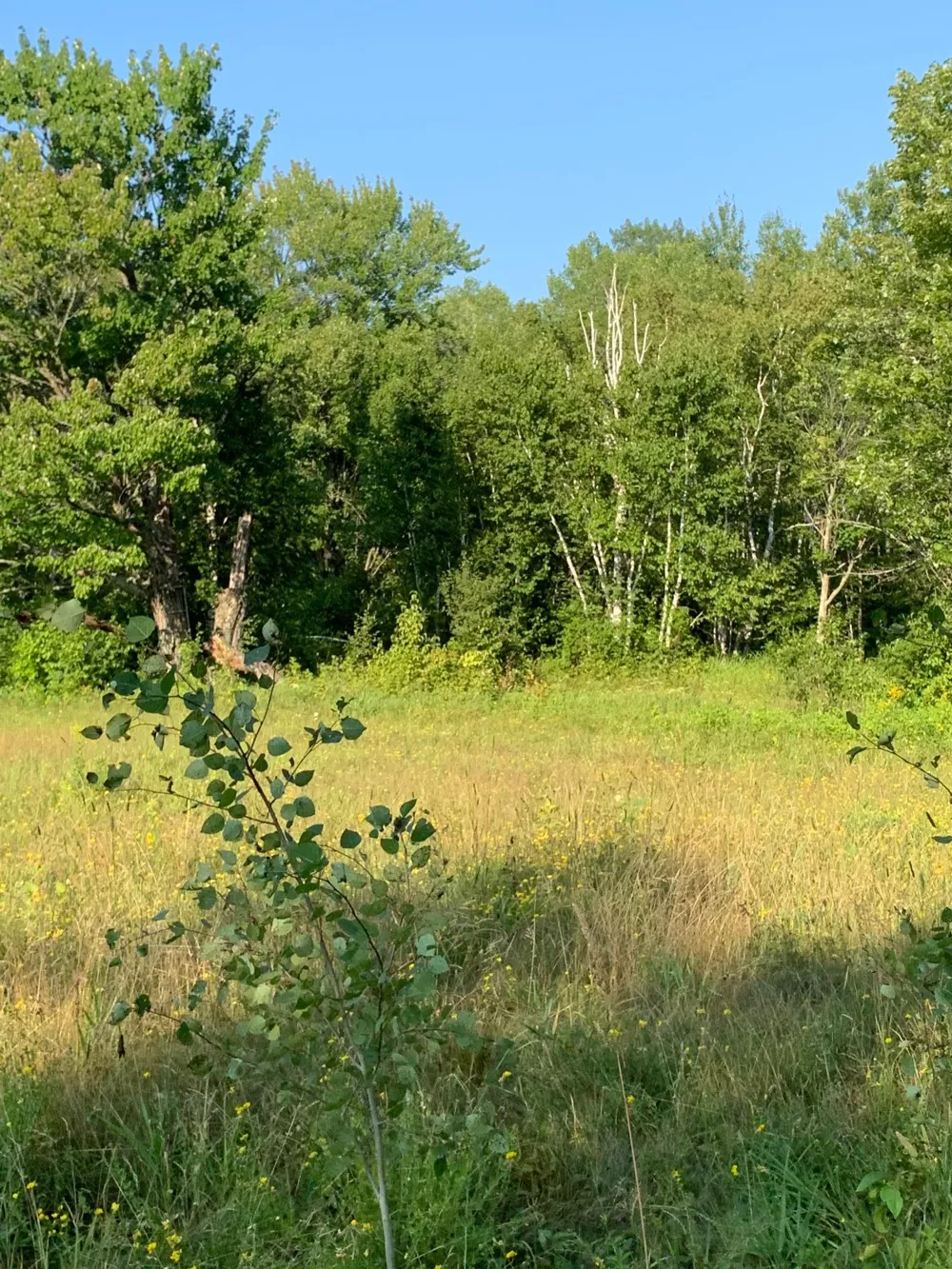 14331 395th Lane Tamarack, MN 55787