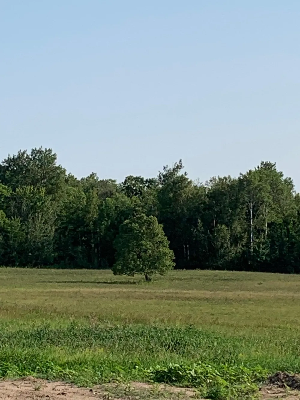 14331 395th Lane Tamarack, MN 55787