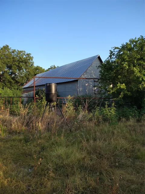 461 County Road 309