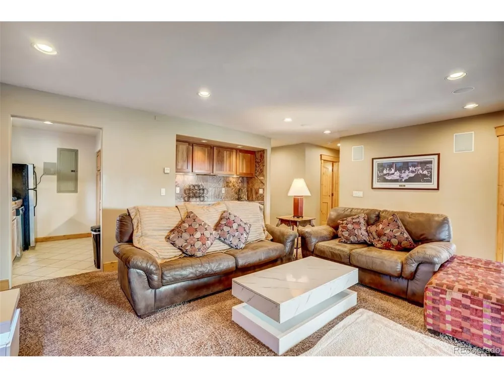 145 Gold Run Circle Dillon, CO 80435