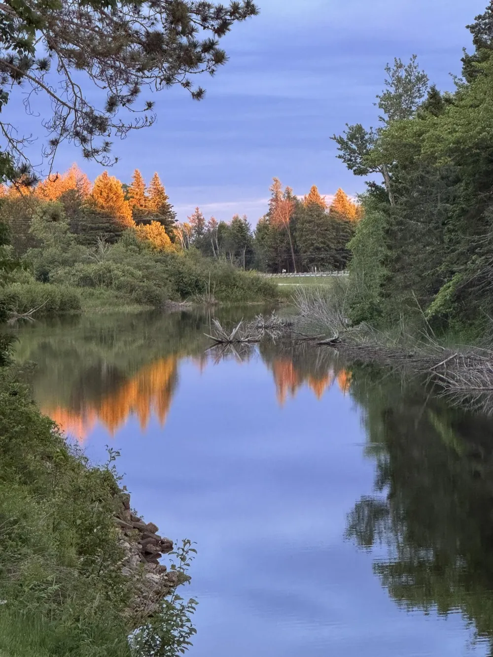 Middle River Road Garfield Township, MI 49762