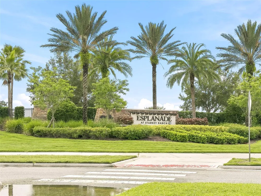 3118 FORSYTHIA DRIVE Odessa, FL 33556