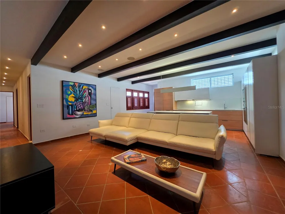 258 LUNA San Juan, PR 00901
