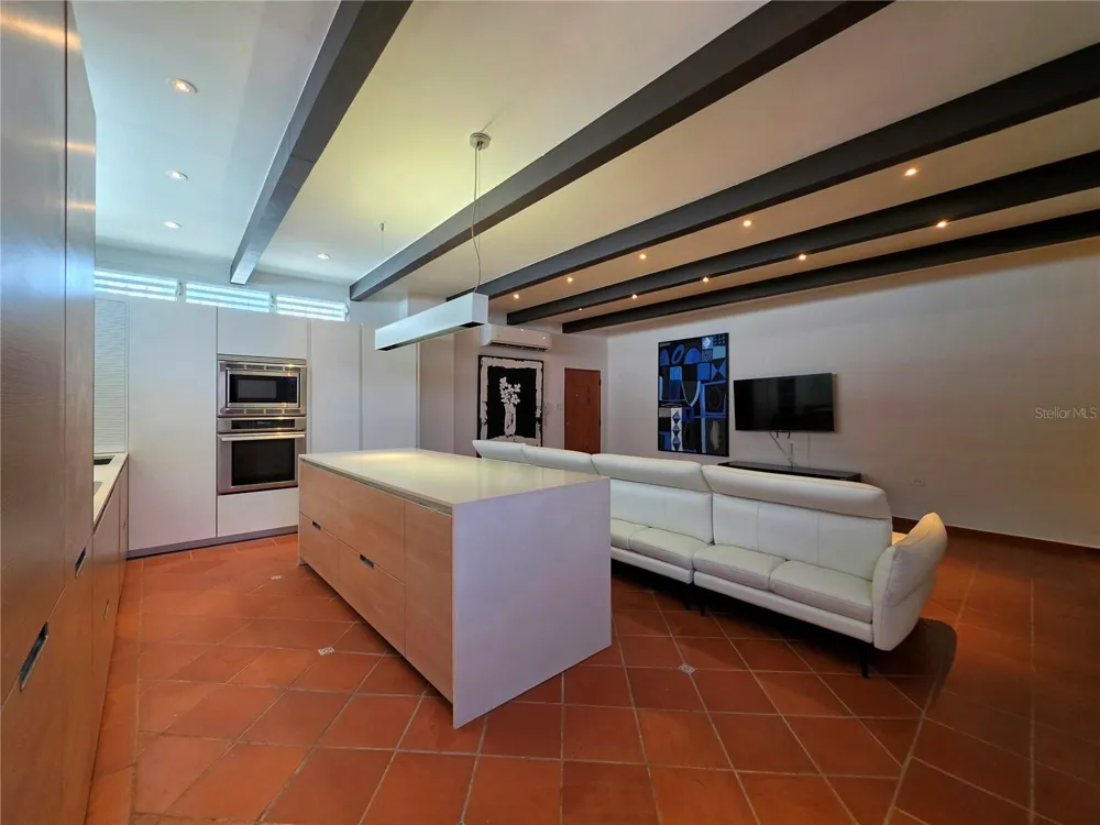 258 LUNA San Juan, PR 00901
