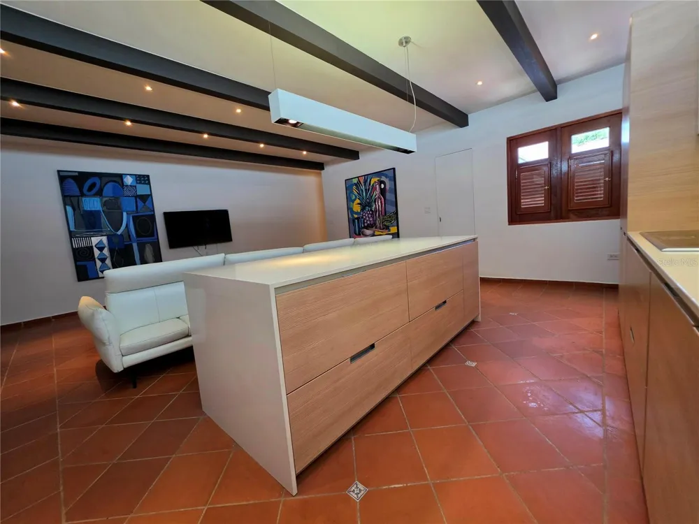 258 LUNA San Juan, PR 00901