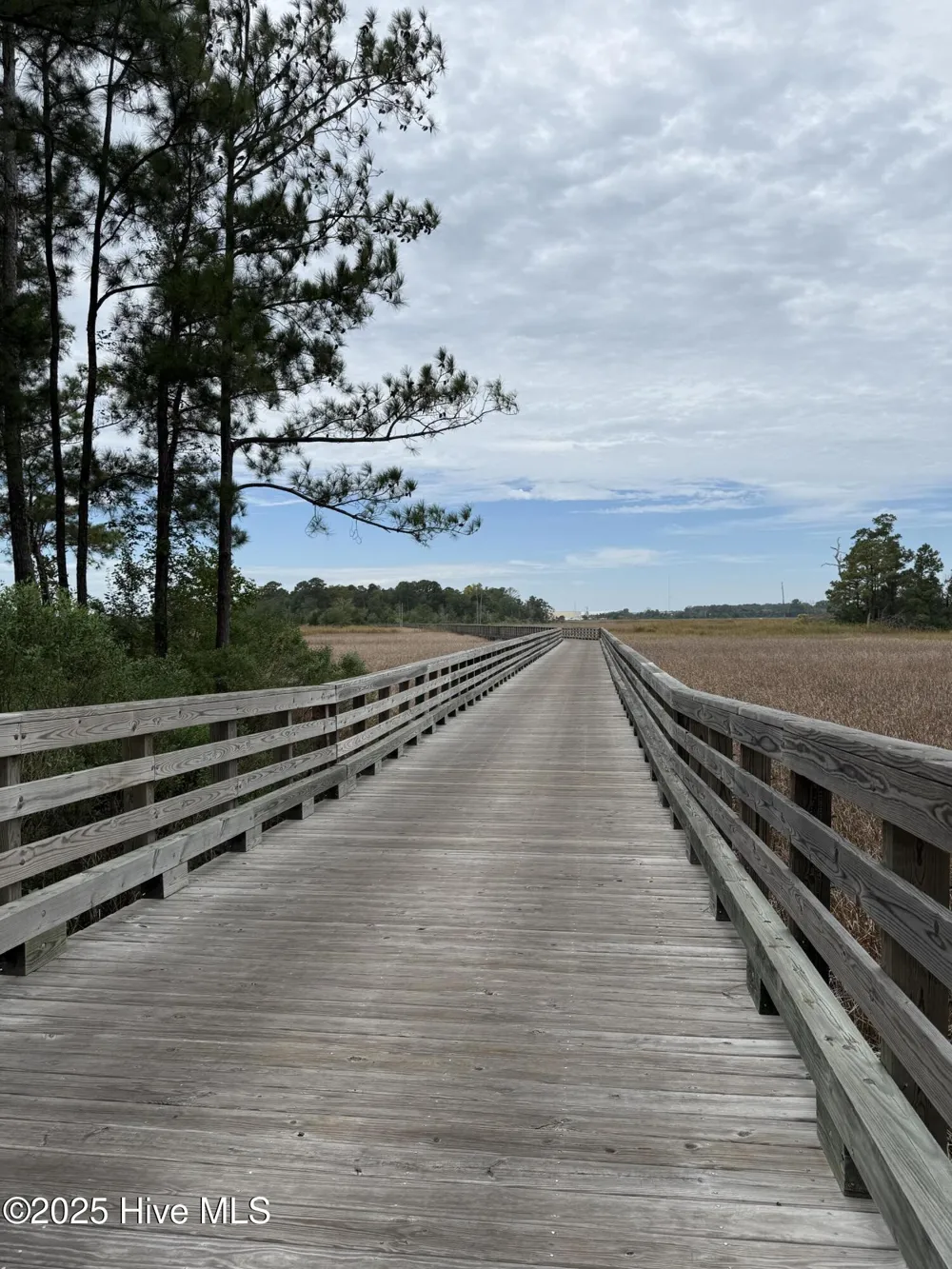 1511 Riverview Terrace Wilmington, NC 28401