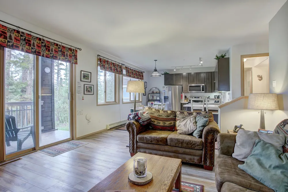 10000 Ryan Gulch Road #115 Silverthorne, CO 80498