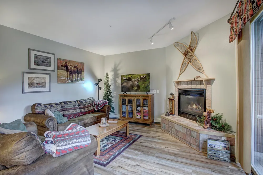 10000 Ryan Gulch Road #115 Silverthorne, CO 80498