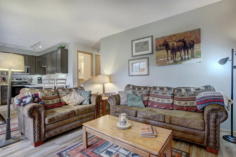 10000 Ryan Gulch Road #115 Silverthorne, CO 80498