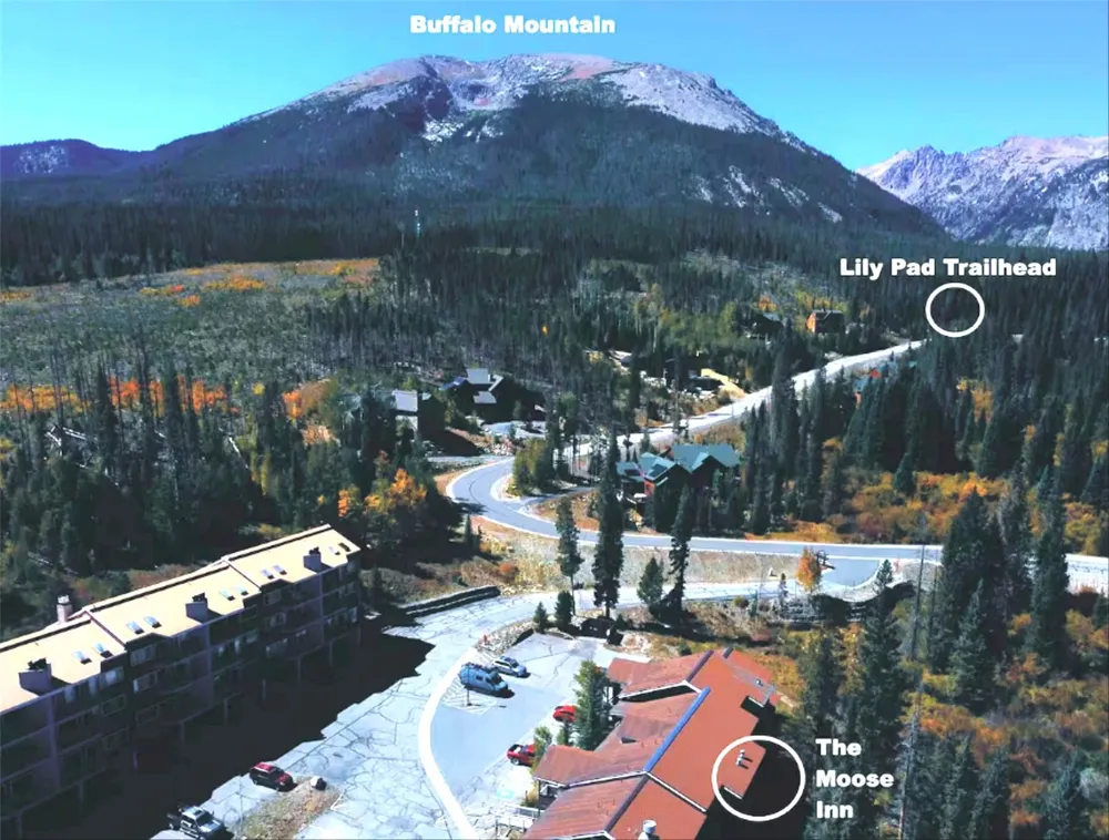 10000 Ryan Gulch Road #115 Silverthorne, CO 80498
