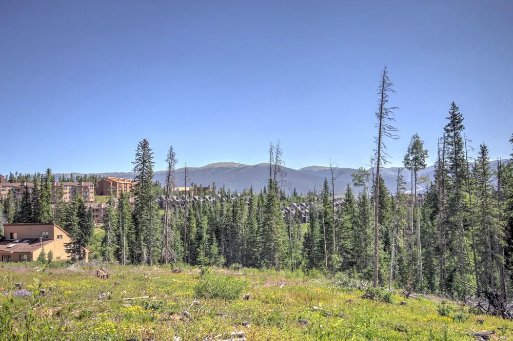 10000 Ryan Gulch Road #115 Silverthorne, CO 80498