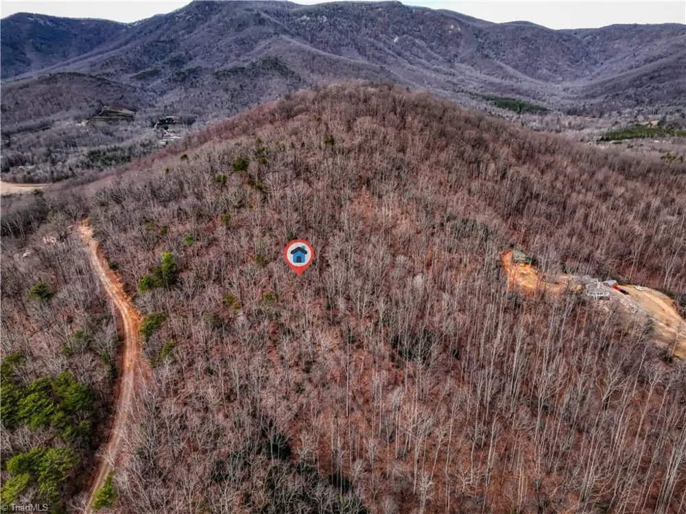 TBD Ivy Green Trail Lowgap, NC 27024