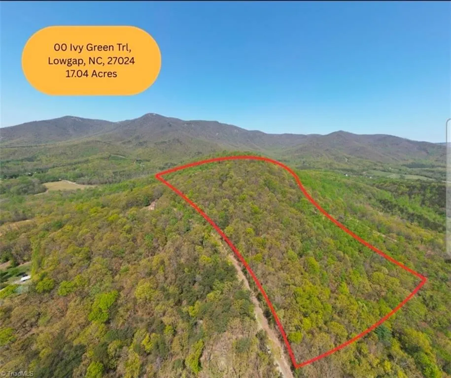 TBD Ivy Green Trail Lowgap, NC 27024
