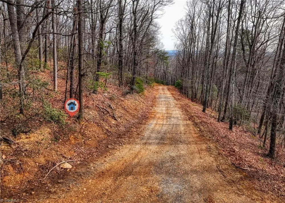 TBD Ivy Green Trail Lowgap, NC 27024