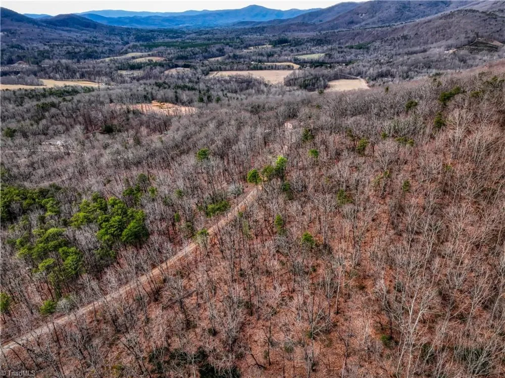 TBD Ivy Green Trail Lowgap, NC 27024