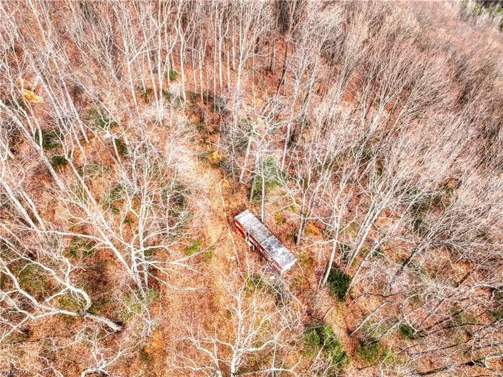 TBD Ivy Green Trail Lowgap, NC 27024