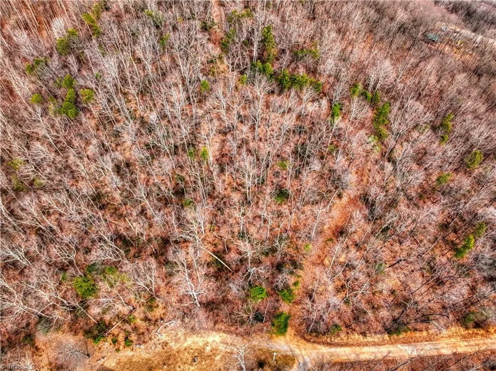 TBD Ivy Green Trail Lowgap, NC 27024