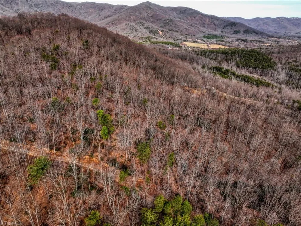 TBD Ivy Green Trail Lowgap, NC 27024