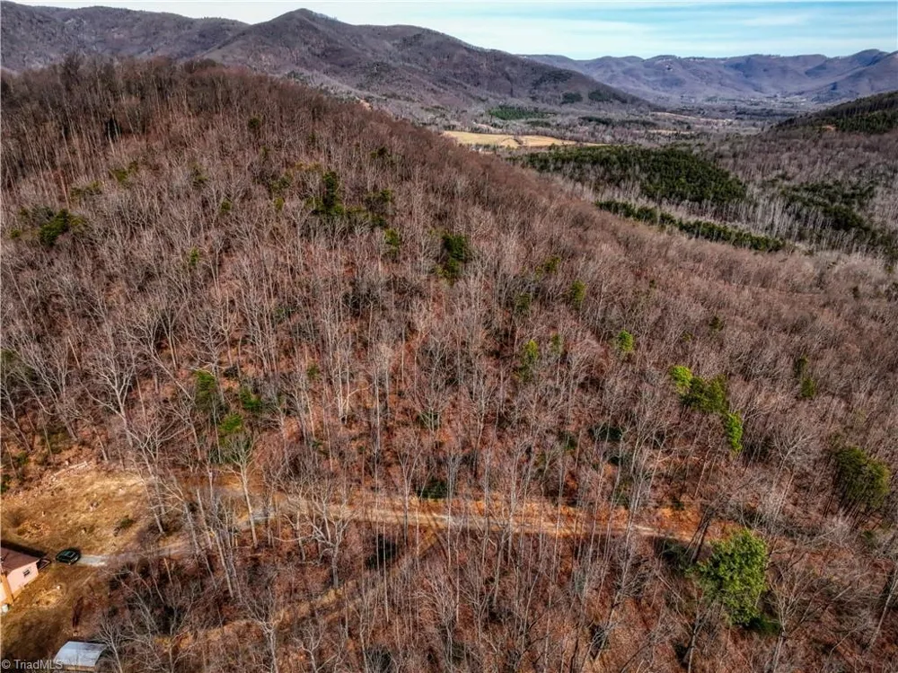 TBD Ivy Green Trail Lowgap, NC 27024