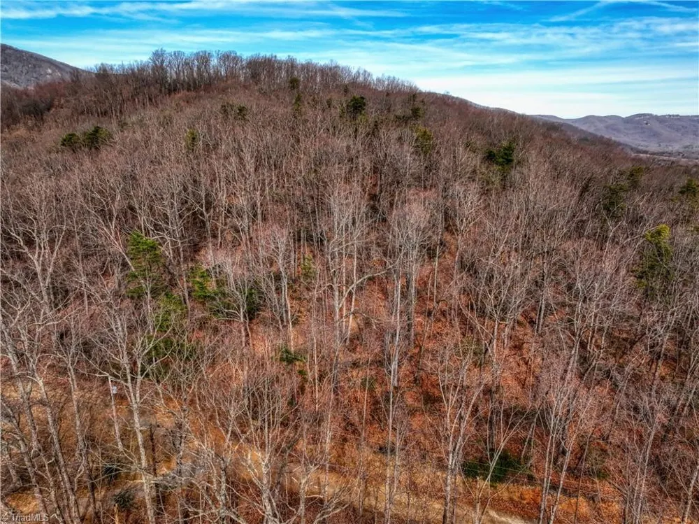 TBD Ivy Green Trail Lowgap, NC 27024