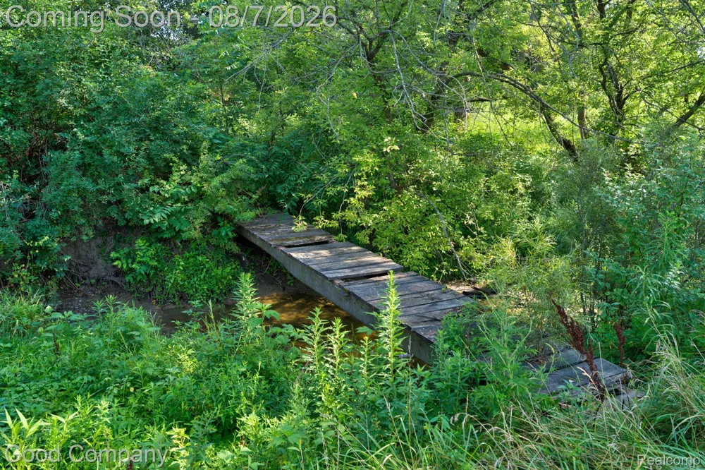 62060 Indian Trail Ray Township, MI 48096