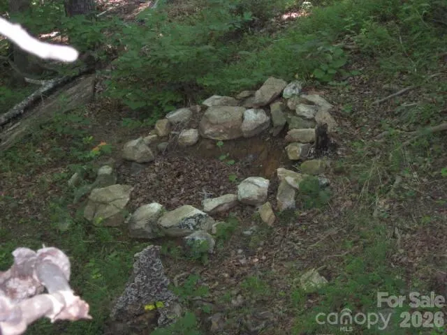 409 Arrowood Road Rutherfordton, NC 28139